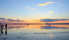 一次奇异的旅行_400字