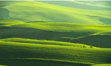 美丽的农场_500字