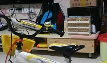 外婆的自行车_1200字