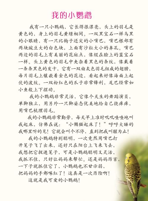 我的家人的家具_350字