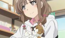 ［少年时代］燃烧的少年，不悔的青春_1000字