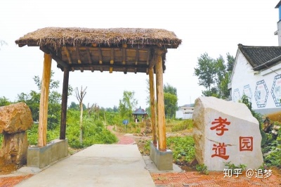 [幸福不远]一个YE银杏_900字
