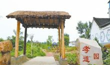 [幸福不远]一叶银杏_900字