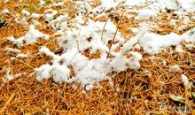 [秋天的童话]秋雨与金鱼_1000字