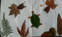 【秋天的童话】我眼中的秋天_450字