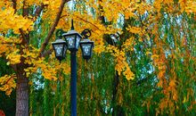 [秋天的童话]秋日果园_1000字