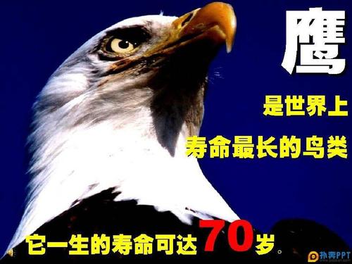 改变痛苦_1000字