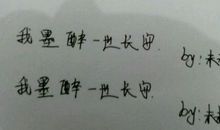 醉了一世_1200字