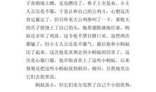 挥不去的遮阳帽——读《新来的王老师》有感_500字