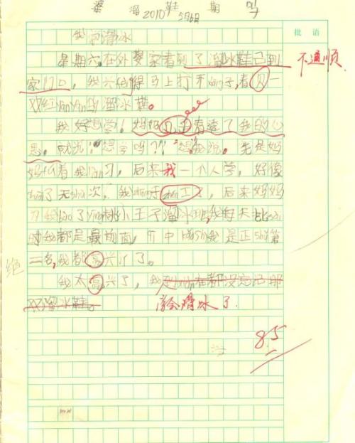 我学会了滑冰_900字