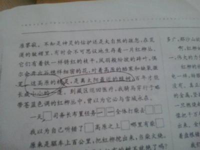 这是杨树，顽固，厚，高，无意识，避开。