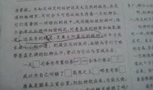 《白杨》读后感_500字