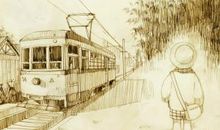 我的美好时光_800字