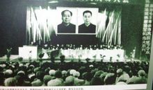 《唐山大地震》观后感_750字