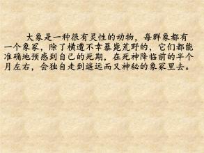 读《最后一头战象》有感_700字