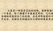 读《最后一头战象》有感_700字