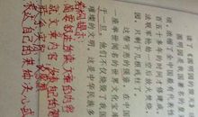 《圆明园的毁灭》观后感_250字