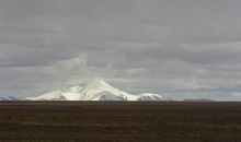 电影《可可西里》观后感_650字