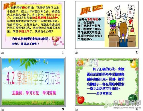 [PK Tour]生活的组成：什么是生命？_150字