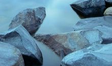 盯着你看的它（1）_650字