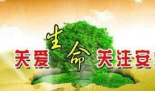 [pk赛]关于生命的作文："关爱生命"就在此刻行动_600字