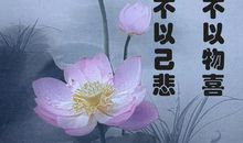 用白话抒写喜悲，用感悟沉淀文化_1200字