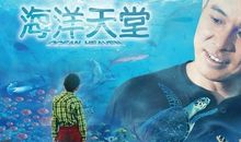 观《海洋天堂》有感_400字