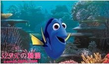 《海底总动员》观后感_900字