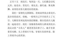 小皇帝的反击_300字