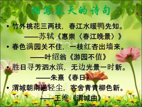 阅读“触摸弹簧”感觉_100字