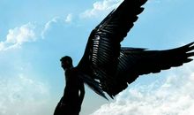 单翅膀的天使_200字