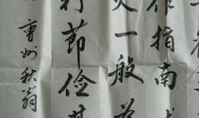 “钉子”精神伴我成长_800字