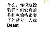 2010年高考作文必备素材——教育改革