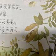 “打电话给妈妈”，感觉_750字