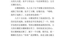 初三说明文：我心爱的一件物品_800字