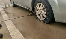 细微之处显真情_1000字