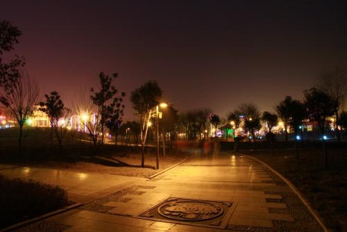 美丽的公园夜景