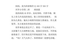 我能为你做点什么作文500字