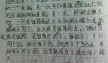 暑假趣事400字作文