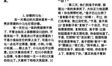 啄木鸟和国王的童话作文300字