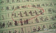 买盐风波作文500字