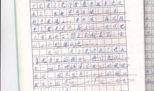 变形记作文变成石头