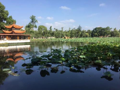 美丽的翠华公园