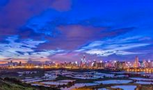 我看到的夏天傍晚的景色作文