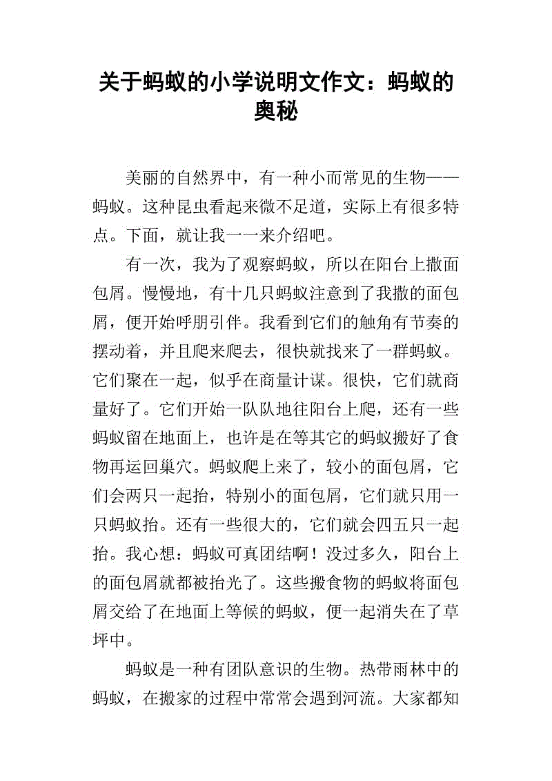 我的新教师组成400字