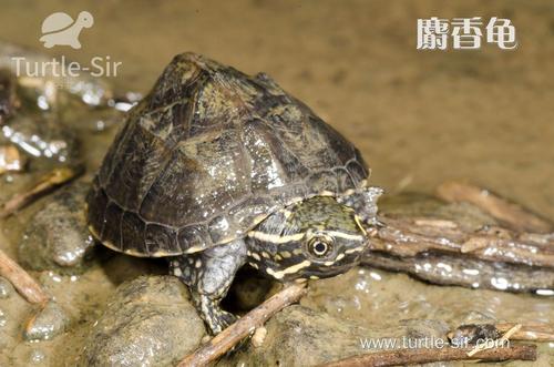 秋阳秋天