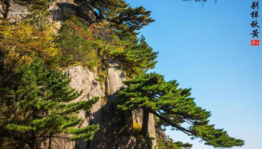 风景让我着迷