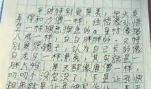 家庭小小动物园300个字作文