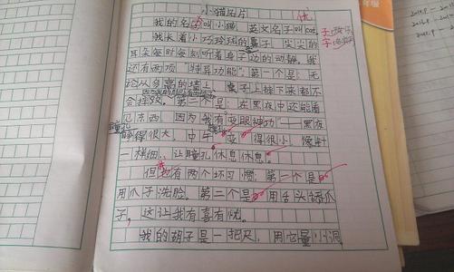 如何编写三年级