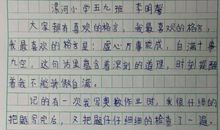 我最深刻的一次教训作文